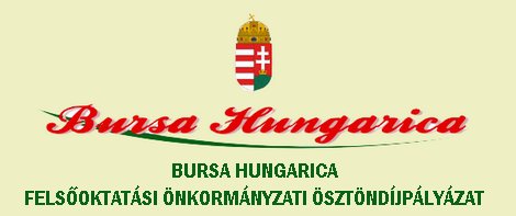 bursahungarica2.jpg